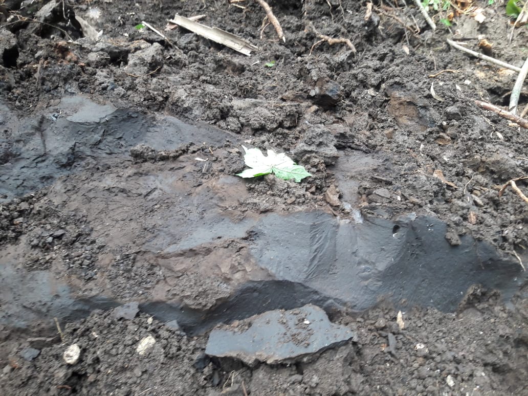 WhatsApp Image 2019-04-12 at 11.35.53 AM (1) (2)