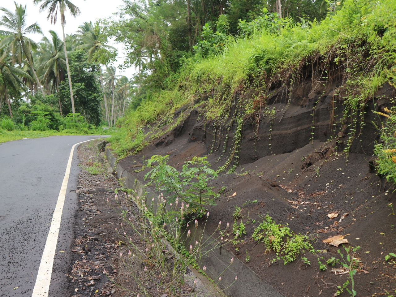 WhatsApp Image 2021-06-11 at 1.48.38 PM (1) (2)