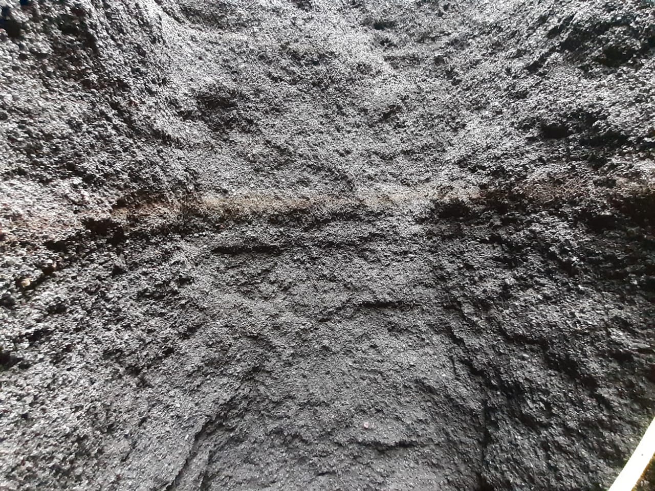 WhatsApp Image 2021-06-11 at 1.48.38 PM (2)