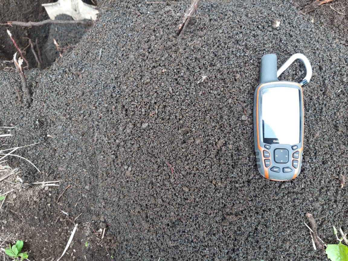 WhatsApp Image 2021-06-11 at 1.48.40 PM (1)